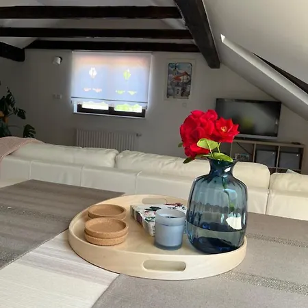 Riverside Avo - Sara * Spodnja Idrija