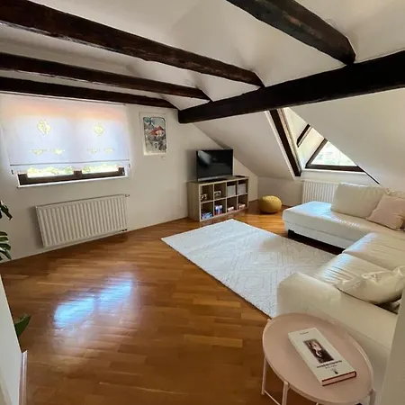 Riverside Avo - Sara Spodnja Idrija