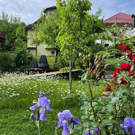 Apartman Riverside Avo - Sara Spodnja Idrija