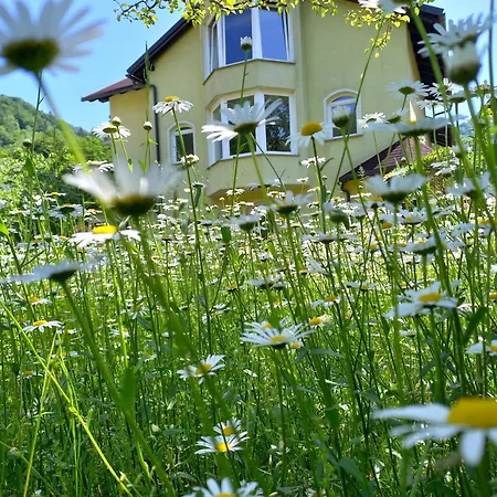 Riverside Avo - Sara * Spodnja Idrija