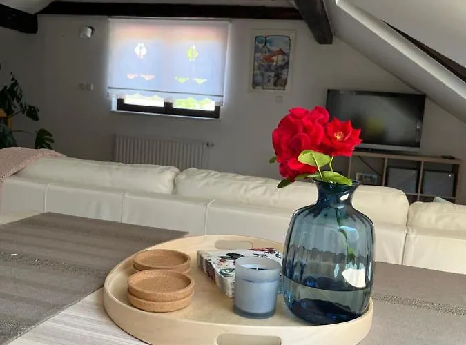 Riverside Avo - Sara * Spodnja Idrija