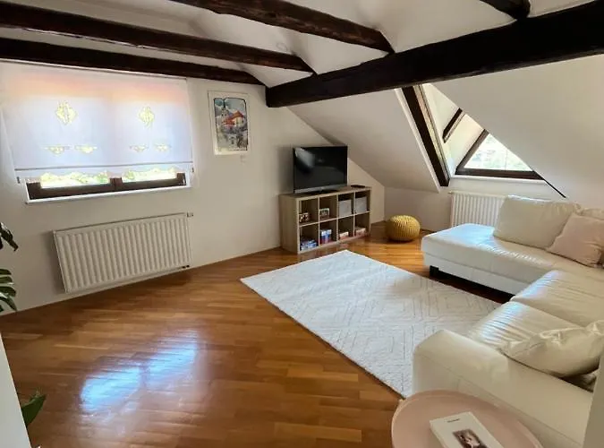 Riverside Avo - Sara Spodnja Idrija